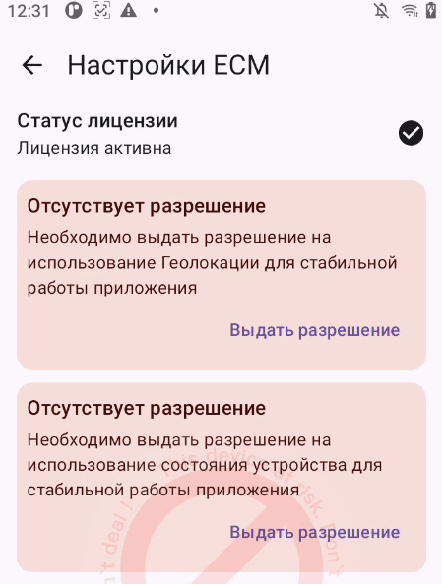 Выдать разрешения